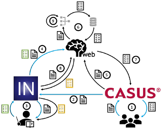 FAMULUS process for annotating data, training models, and generating individualized feedback.
